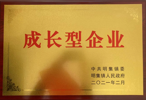 成長(zhǎng)型企業(yè)